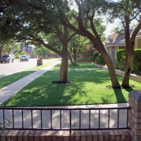 Artificial Grass Agua Dulce Texas Landscape