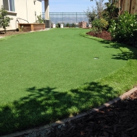 Artificial Grass Anthony Texas Landscape