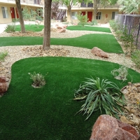 Artificial Grass Butterfield Texas Landscape