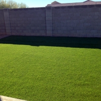 Artificial Grass Tornillo Texas Landscape