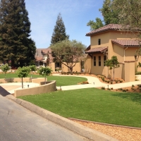 Artificial Turf Fort Bliss Texas Landscape