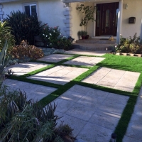 Artificial Turf Morning Glory Texas Lawn