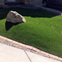 Fake Grass Horizon City Texas Landscape