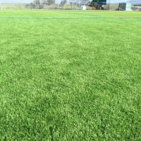 Fake Grass Sports Sparks Texas