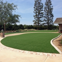 Fake Grass Tornillo Texas Landscape