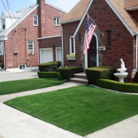 Fake Turf Homestead Meadows South Texas Landscape