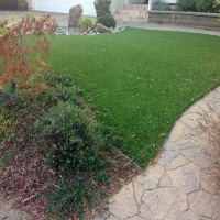 Synthetic Animal Shelter Butterfield Texas Installation