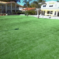 Synthetic Grass Butterfield Texas Landscape