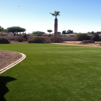 Synthetic Grass Fabens Texas Landscape