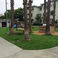 Synthetic Grass Homestead Meadows South Texas Landscape