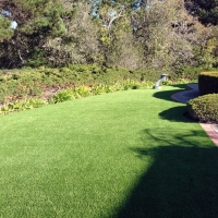 Synthetic Grass Socorro Texas Landscape