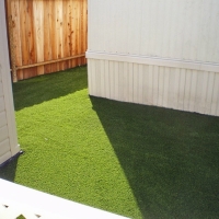 Synthetic Pets Areas Butterfield Texas Installation