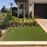 Synthetic Turf Anthony Texas Landscape