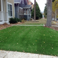 Synthetic Turf Butterfield Texas Landscape