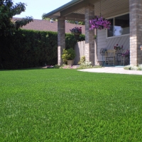 Synthetic Turf Canutillo Texas Landscape