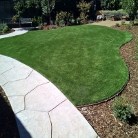 Synthetic Turf Clint Texas Lawn