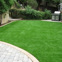 Synthetic Turf Homestead Meadows South Texas Lawn