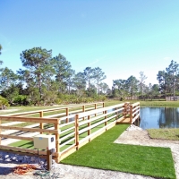 Synthetic Turf Horizon City Texas Landscape