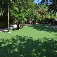 Synthetic Turf San Elizario Texas Lawn