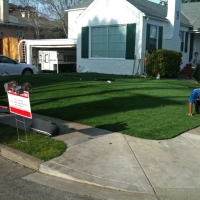 Synthetic Turf Socorro Texas Landscape