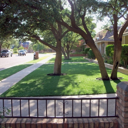 Artificial Grass Agua Dulce Texas Landscape