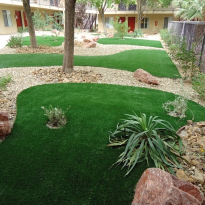 Artificial Grass Butterfield Texas Landscape