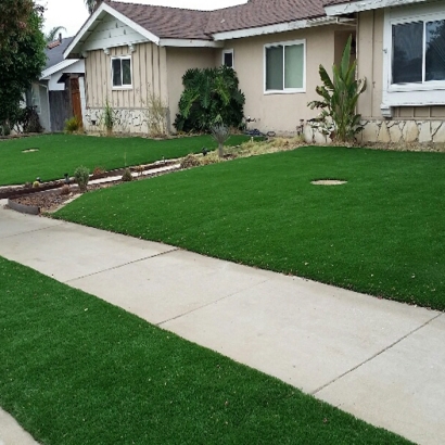 Artificial Grass Fabens Texas Lawn