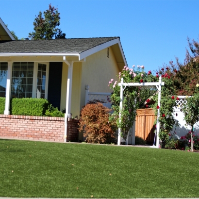 Artificial Grass Fort Bliss Texas Landscape