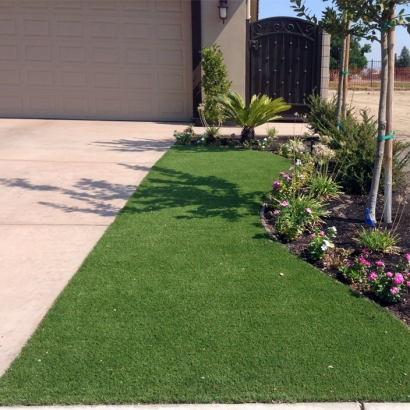 Artificial Grass Horizon City Texas Landscape