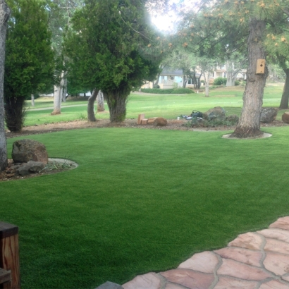 Artificial Grass Horizon City Texas Lawn