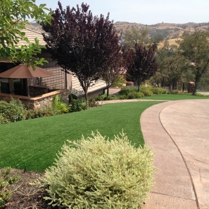 Artificial Grass Sparks Texas Lawn