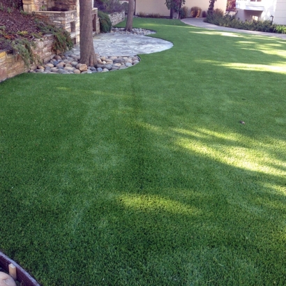 Artificial Pet Turf Prado Verde Texas Installation