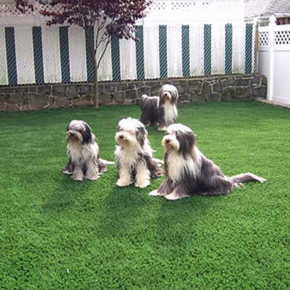 Artificial Pets Areas Socorro Texas Installation