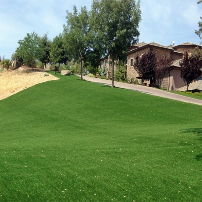 Artificial Turf Agua Dulce Texas Lawn