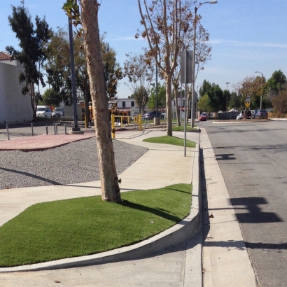 Artificial Turf Canutillo Texas Landscape