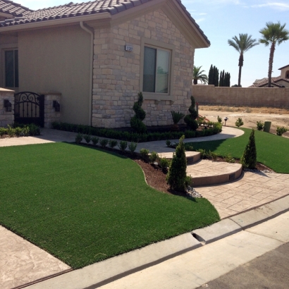 Artificial Turf Homestead Meadows South Texas Landscape