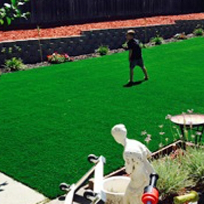 Artificial Turf Horizon City Texas Lawn