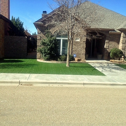 Artificial Turf Morning Glory Texas Landscape