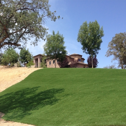 Artificial Turf Sparks Texas Lawn