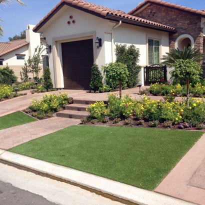 Fake Grass Butterfield Texas Landscape