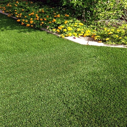 Fake Grass Canutillo Texas Landscape