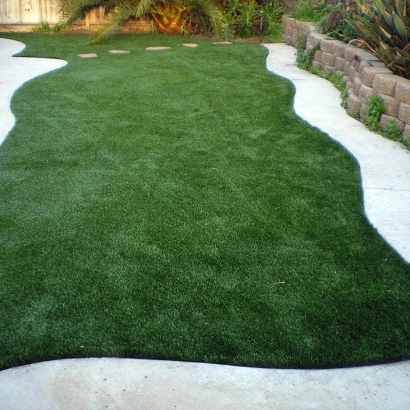 Fake Grass Fabens Texas Lawn