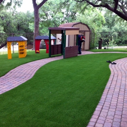 Fake Grass Horizon City Texas Lawn