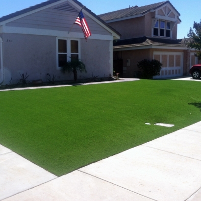 Fake Grass Morning Glory Texas Landscape