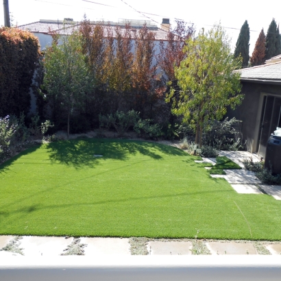 Fake Grass Socorro Mission Number 1 Colonia Texas Landscape