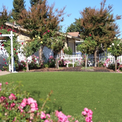 Fake Turf Canutillo Texas Lawn