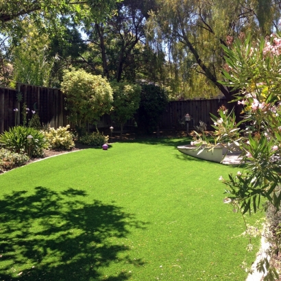 Fake Turf Prado Verde Texas Landscape