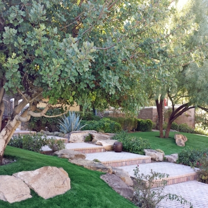 Fake Turf San Elizario Texas Landscape