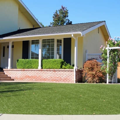 Synthetic Grass Horizon City Texas Landscape