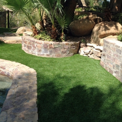 Synthetic Pets Areas Homestead Meadows South Texas Installation